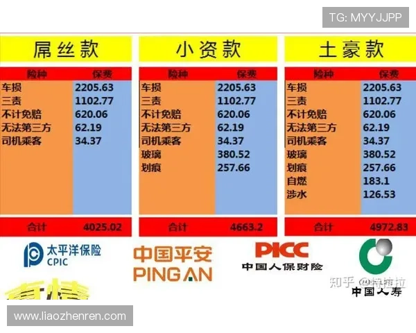 新手必看baccarist规则指南，详细介绍游戏流程、投注方式与获胜技巧